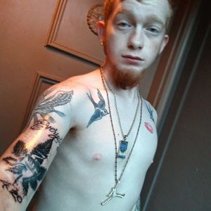 Meet your Posher, Perry